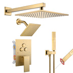 Luxury Single Handle 2-Spray Shower Faucet 1.8 GPM with 10 in. Rainfall Head and Pressure Balance Valve