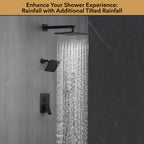 Luxury Single Handle 2-Spray Shower Faucet 1.8 GPM with 10 in. Rainfall Head and Pressure Balance Valve