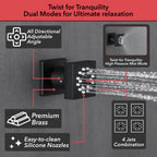 Luxury Single Handle 2-Spray Shower Faucet 1.8 GPM with 10 in. Rainfall Head and Pressure Balance Valve