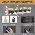 Luxury Single Handle 2-Spray Shower Faucet 1.8 GPM with 20 in. LED Rainfall Head and Body Jets